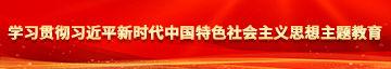 日逼穴学习贯彻习近平新时代中国特色社会主义思想主题教育