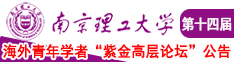 啊啊啊啊强操不要南京理工大学第十四届海外青年学者紫金论坛诚邀海内外英才！